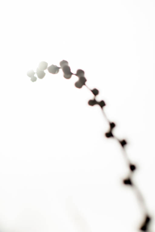 Photographe portraitiste