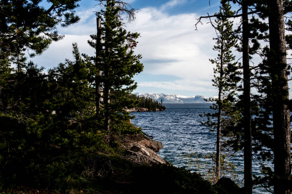 roadtrip à Yellowstone