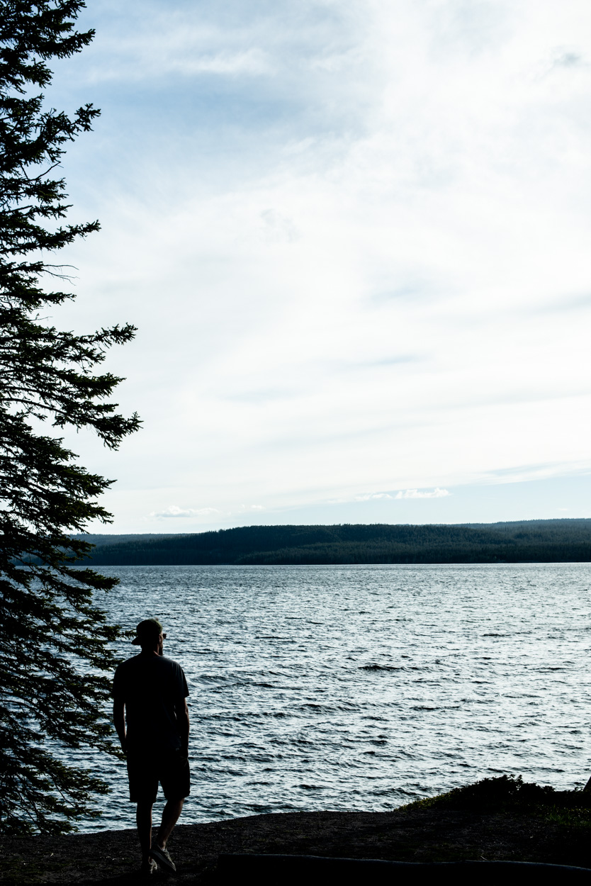 roadtrip à Yellowstone